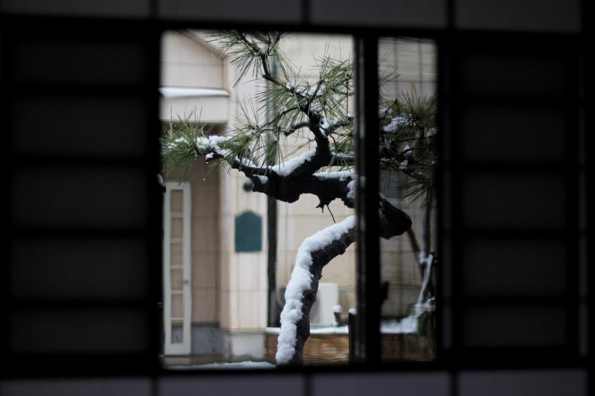 Guest House Kamejikan Kamakura Extérieur photo