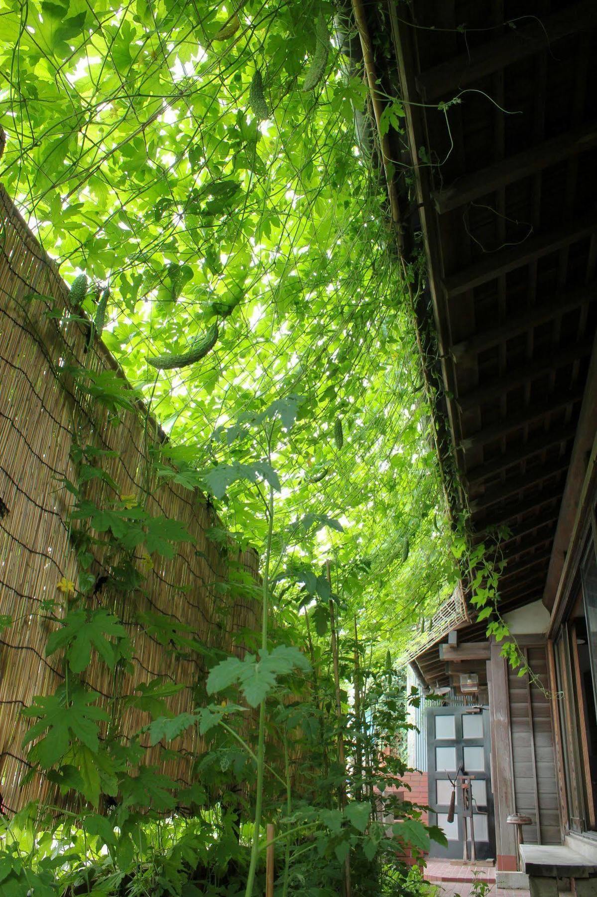 Guest House Kamejikan Kamakura Extérieur photo